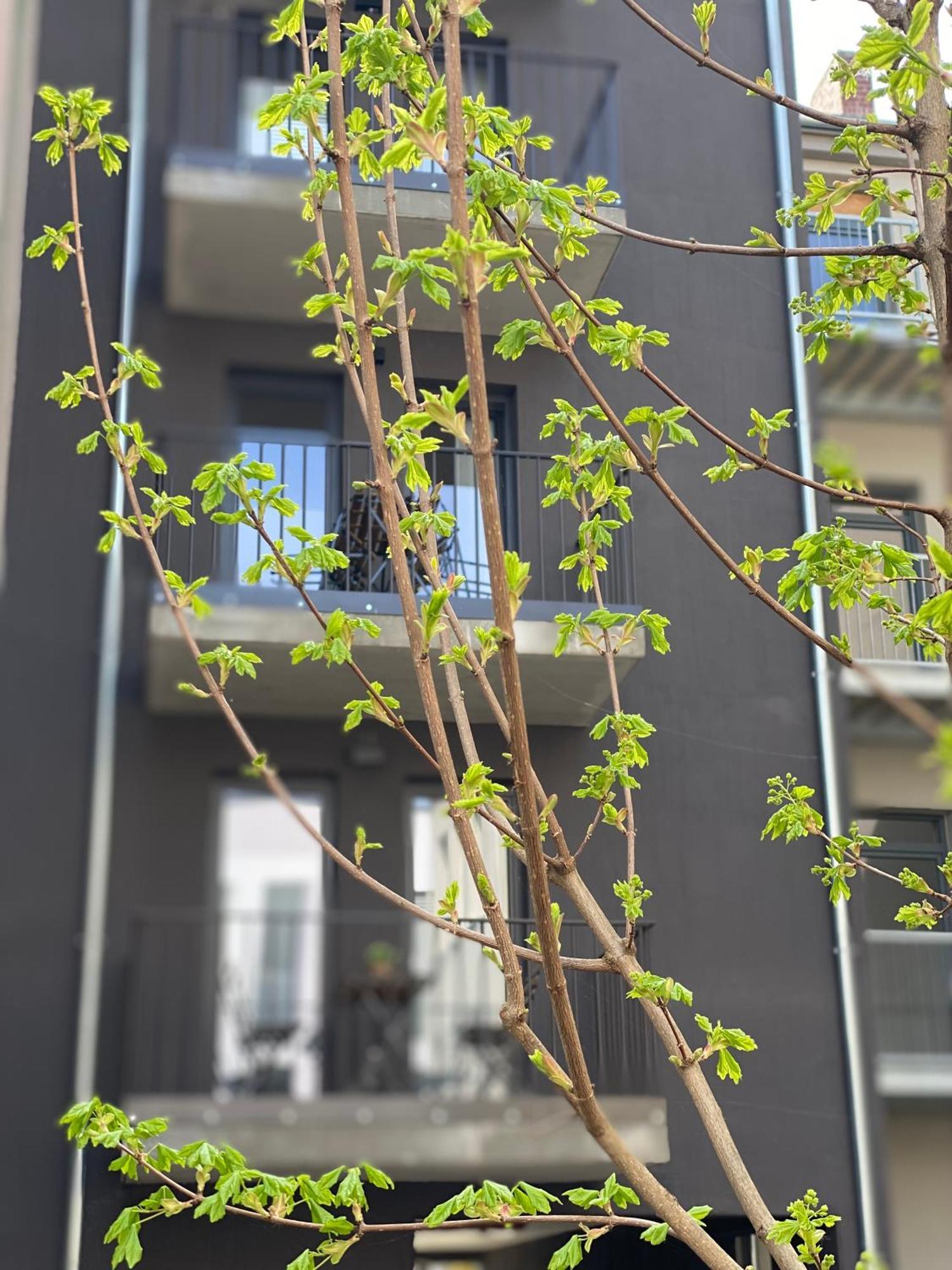 Eiwelhome - Stilvoll, Urban-Ruhig Schlafen, Bahnhofsnah, Balkon Érfurt Exterior foto