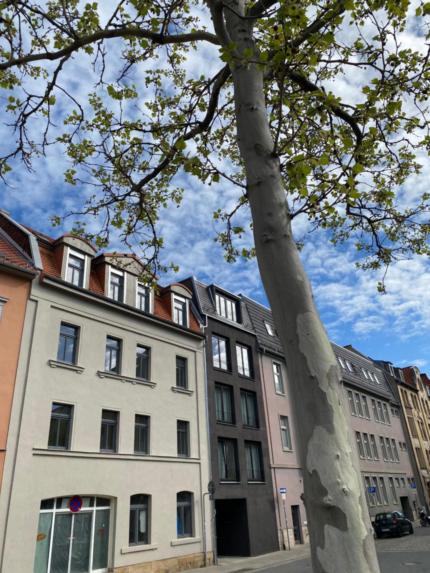 Eiwelhome - Stilvoll, Urban-Ruhig Schlafen, Bahnhofsnah, Balkon Érfurt Exterior foto